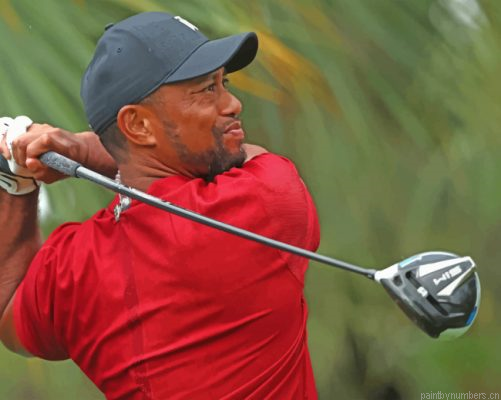 Tiger Woods Playing Golf Painting By Numbers.png