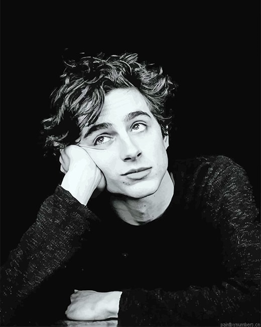 Timothee Black And White Portrait Actors Painting By Numberss.png