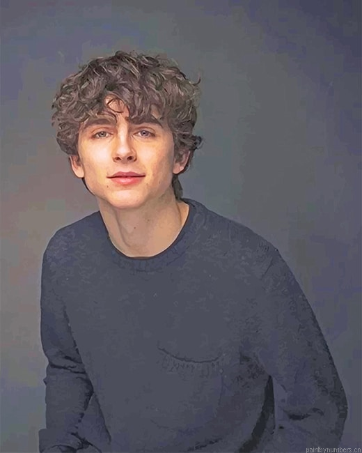 Timothee Chalamet Actor Painting By Numberss.png