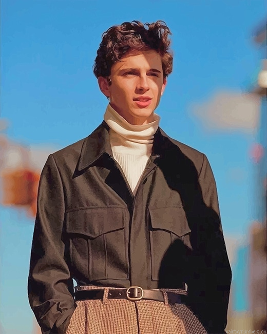 Timothee Chalamet Actors Painting By Numberss.png