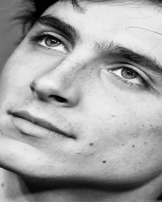 Timothee Chalamet Black And White Actors Painting By Numbers.png
