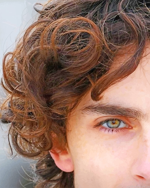 Timothee Chalamet Eye Actors Painting By Numberss.png