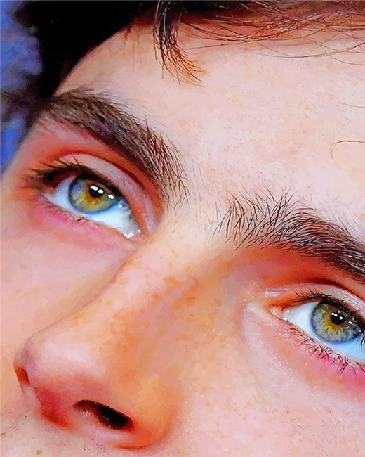 Timothee Chalamet Eyes Actors Painting By Numberss.png