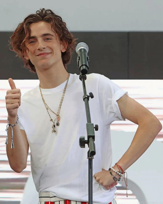 Timothee Chalamet On The Stage Singers Painting By Numbers.png