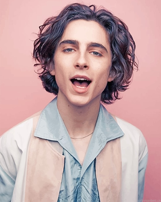 Timothee Chalamet Photoshoot Actors Painting By Numberss.png