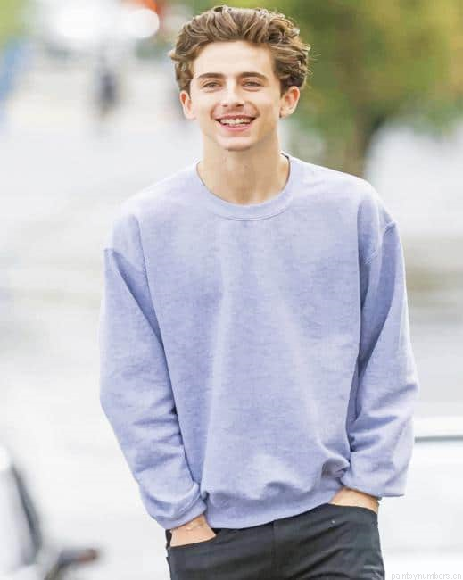 Timothee Chalamet Wearing Grey Actors Painting By Numberss.png
