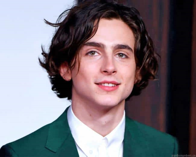 Timothee Chalamet With Green Suit Actors Painting By Numberss.png