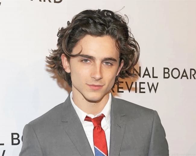 Timothee Chalamet With Classy Suit Actors Painting By Numberss.png