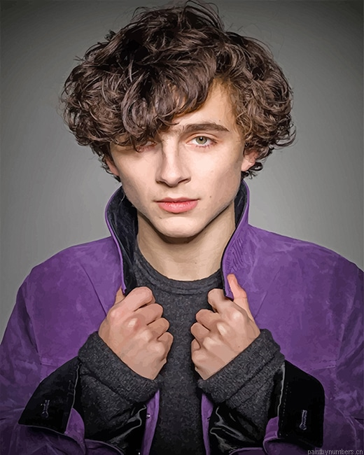 Timothee Hal Chalamet Actors Painting By Numberss.png