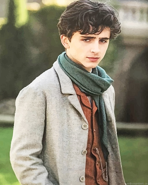 Timothee In Little Woman Actors Painting By Numberss.png