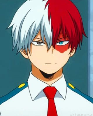 Todoroki Anime Painting By Numberss.png