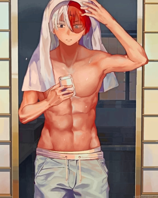 Todoroki Mirror Selfie Painting By Numberss.png