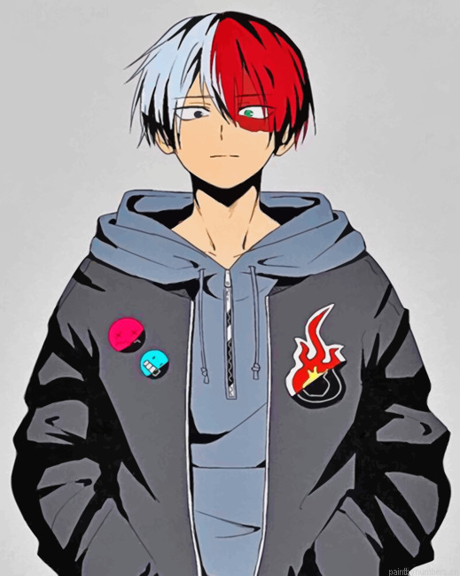 Todoroki My Hero Academia Painting By Numberss.png