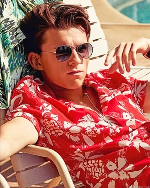 Tom Holland Enjoying His Summer Actors Painting By Numberss.png