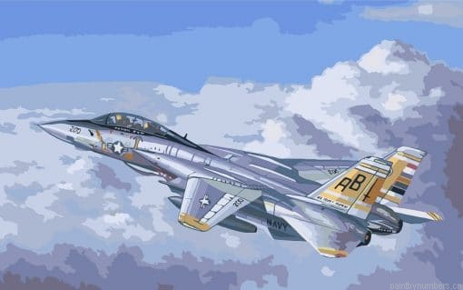 Tomcat Plane Painting By Numberss.png