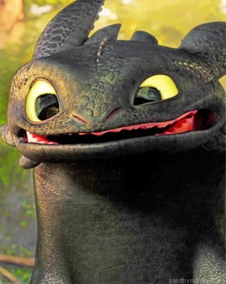 Toothless Dragon Painting By Numbers.png