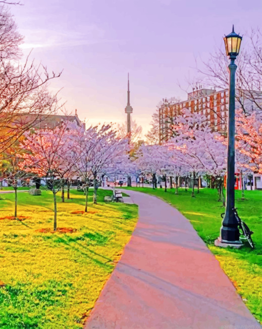 Toronto Cherry Blossoms Painting By Numbers.png