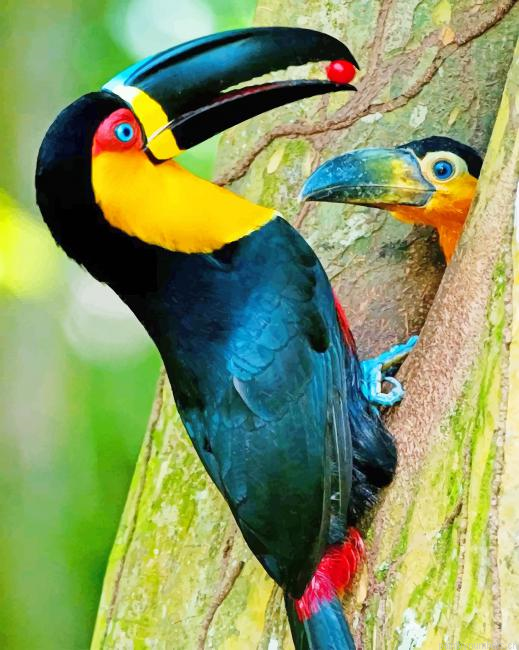 Toucan Baby Birds Painting By Numbers.png