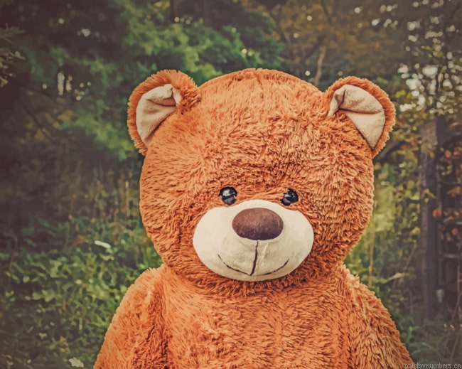 Toy Bear In Forest Painting By Numberss.png