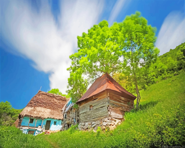Traditional House In Romania Painting By Numberss.png