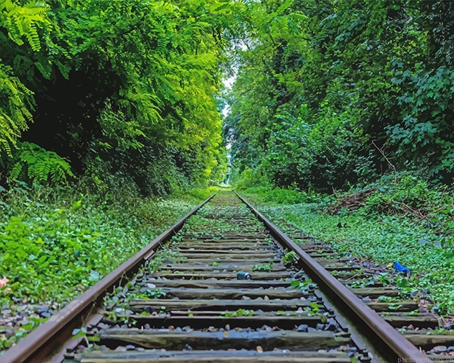 Train Rail Painting By Numberss.png