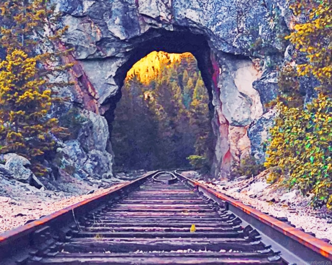 Train Railway Arch Painting By Numberss.png