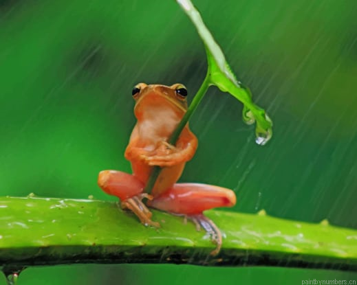 Tree Frog Hiding Under Leaf Animals Painting By Numberss.png