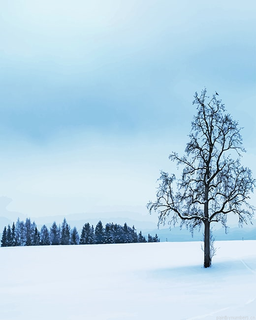 Tree Surrounded By Snow Painting By Numberss.png