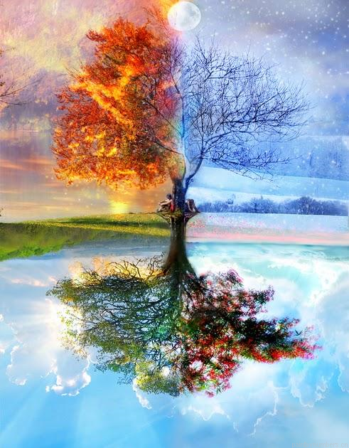 Tree Through The Seasons Landscapes Painting By Numbers.png
