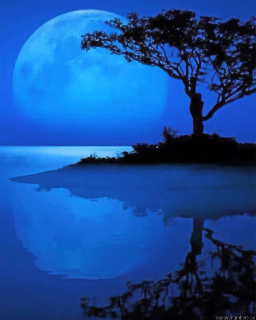 Tree Water Reflection Painting By Numbers.png