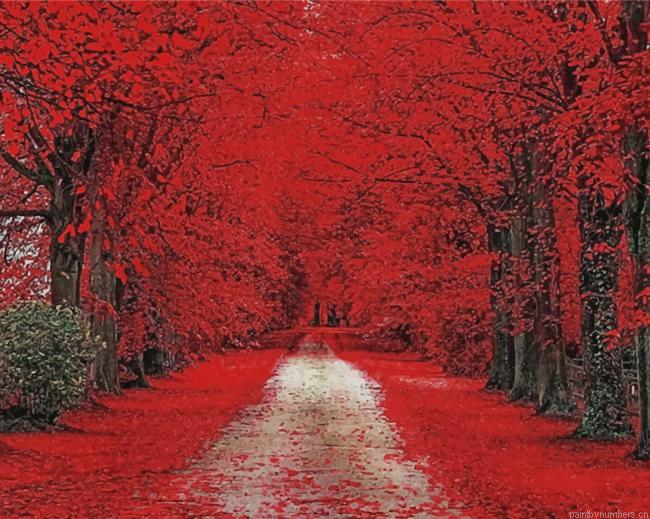 Trees Red Path Painting By Numberss.png