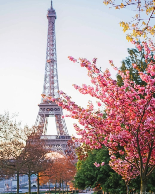 Trocadero Gardens Paris France Cities Painting By Numberss.png