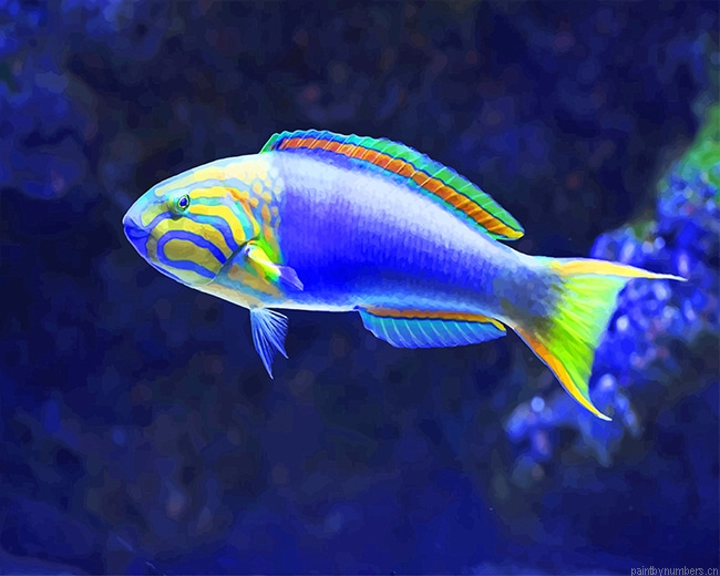 Tropical Blue And Green Fish Painting By Numbers.png