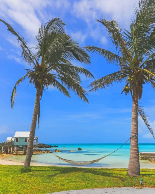 Tropical Hammock On The Beach Seascapes Painting By Numberss.png