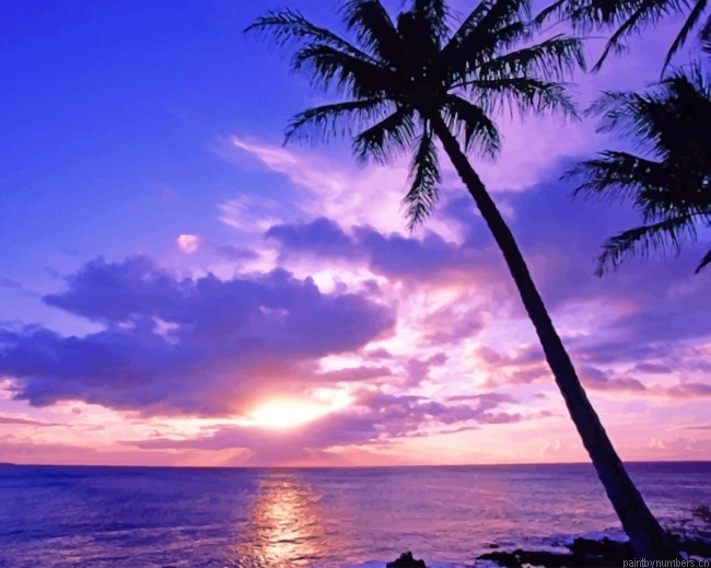 Tropical Island Landscapes Painting By Numberss.png