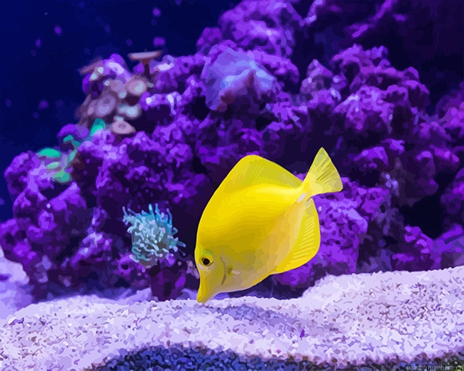 Tropical Yellow Fish Painting By Numbers.png