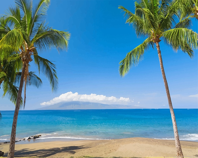 Tropics Coast Sea Palms Hawaii Painting By Numbers.png