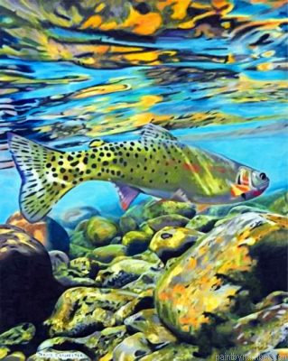 Trout Fish Painting By Numbers.png