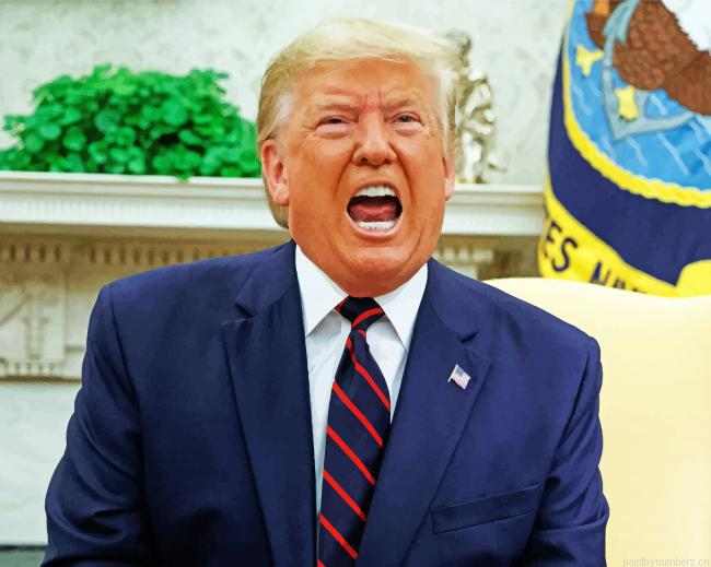 Trump Painting By Numbers.png