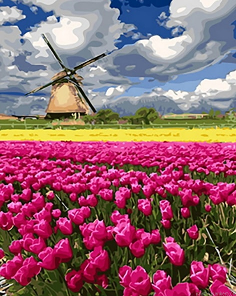 Tulips Farm Painting By Numbers.png