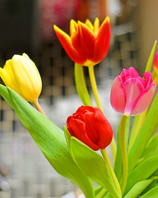 Tulips Vase Flowers Painting By Numberss.png