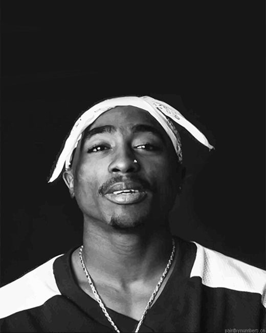 Tupac Black And White Rappers Painting By Numberss.png