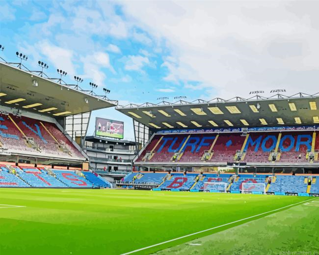 Turf Moor Painting By Numberss.png