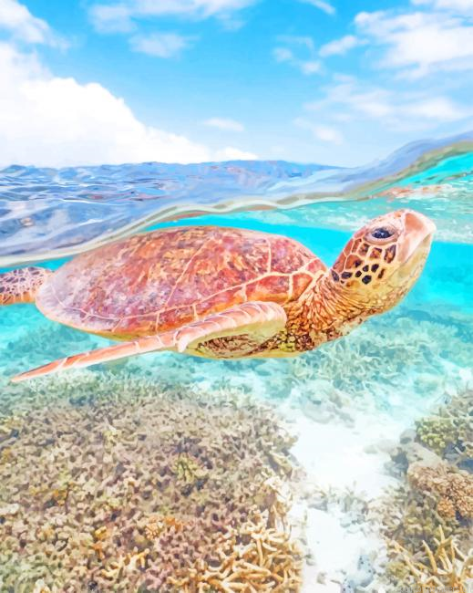 Turtle Under The Sea Animals Painting By Numbers.png