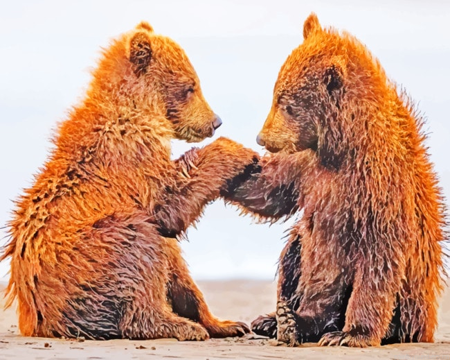Two Baby Bears On Beach Animals Painting By Numberss.png