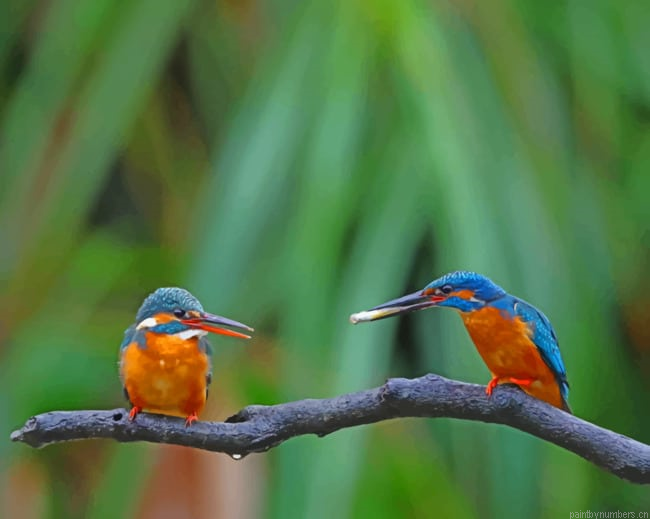 Two Birds On A Branch Painting By Numberss.png