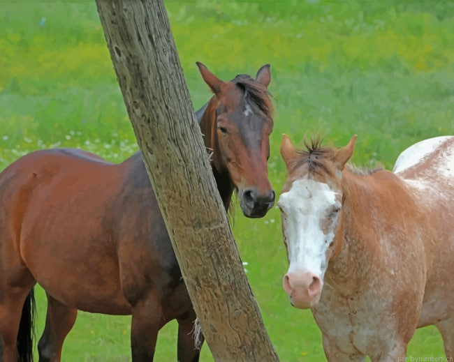 Two Brown Horses Animals Painting By Numberss.png