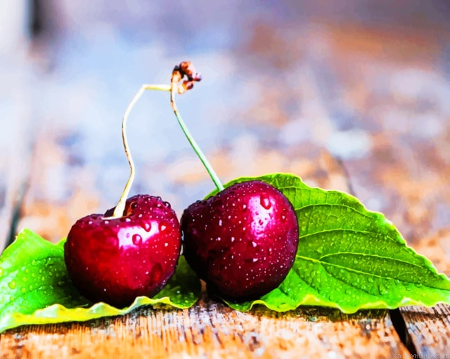 Two Cherries With Leaves Fruits Painting By Numberss.png