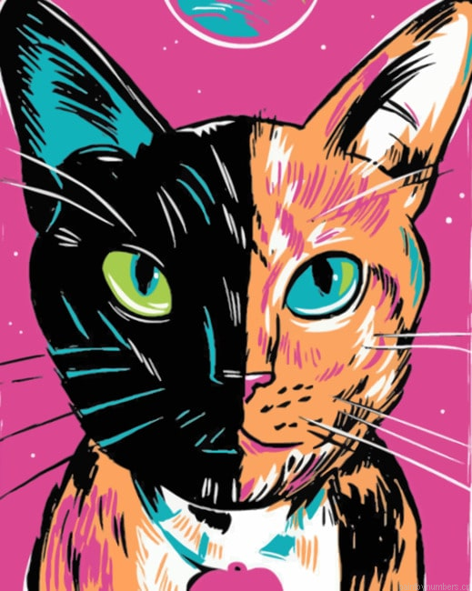 Two Faced Cat Illustration Painting By Numberss.png