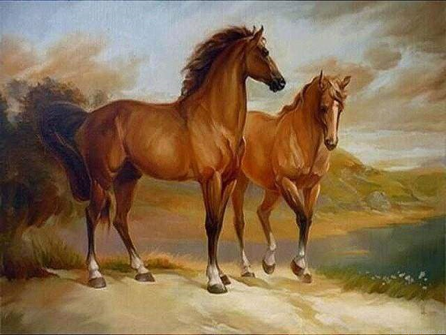 Two Horses By The Water Painting By Numbers.png